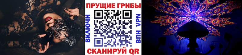 Псилоцибиновые грибы ЛСД  купить наркотики сайты  Щучье 